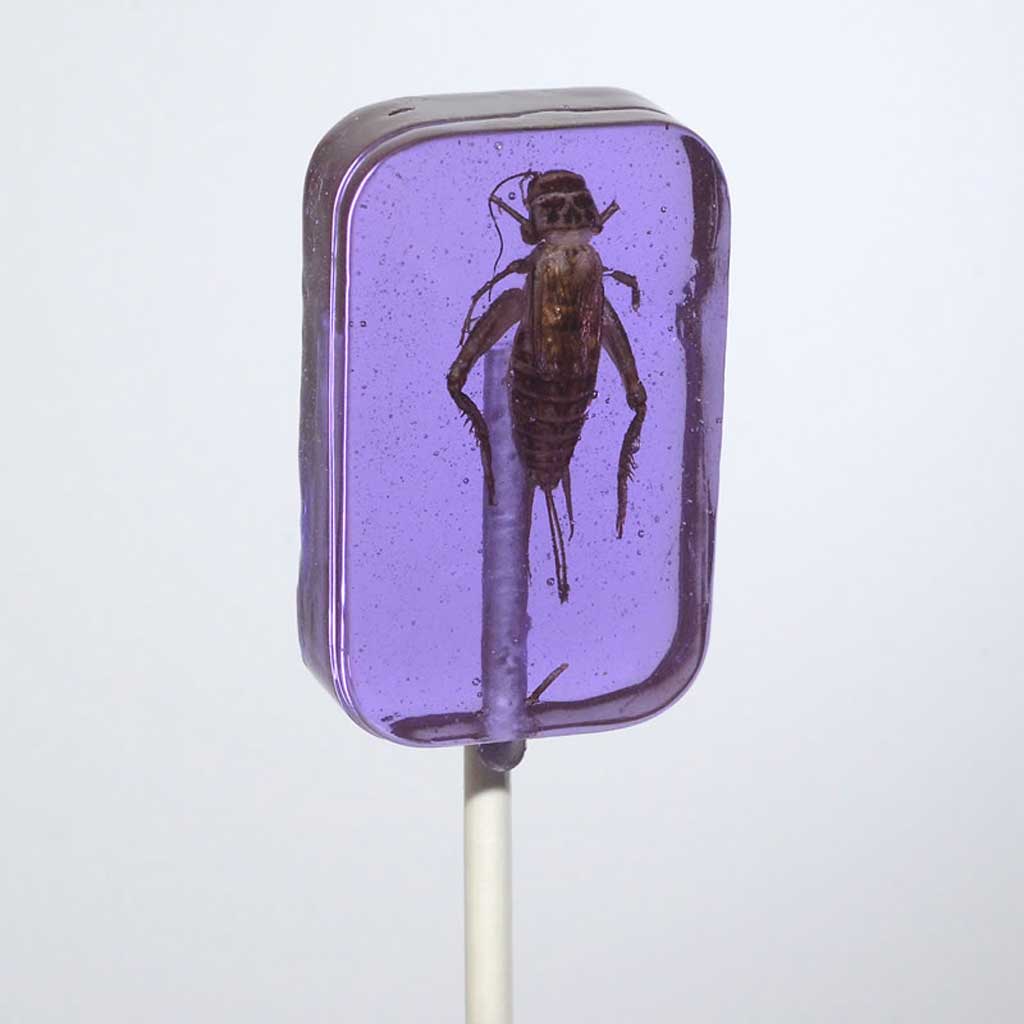 Cricket Lickit Sucker Confection - Nibblers Popcorn Company